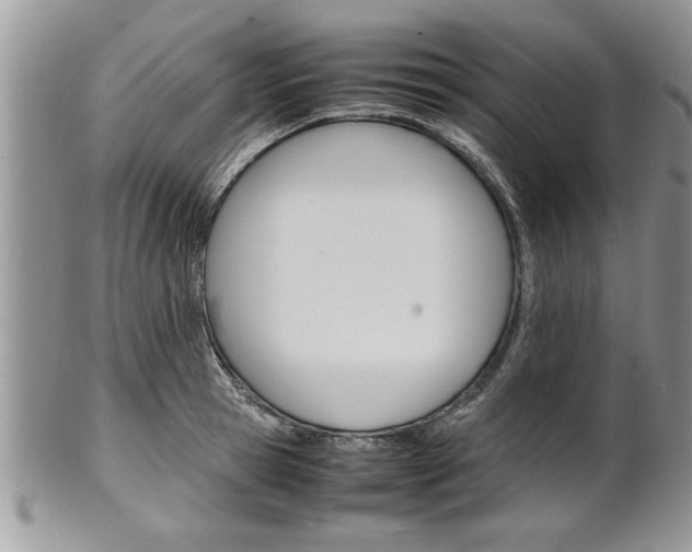 X0000102260945200808011401