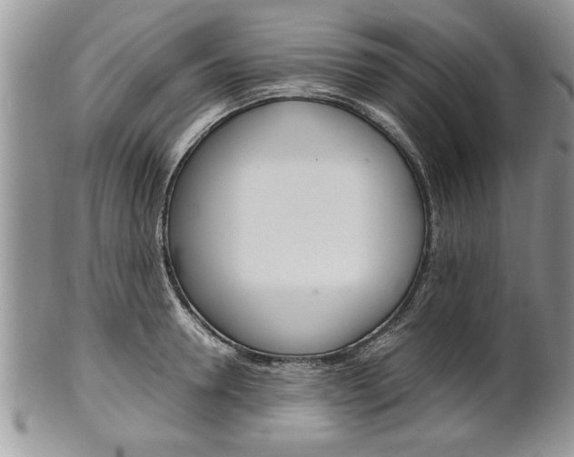 X0000102260946200808011401