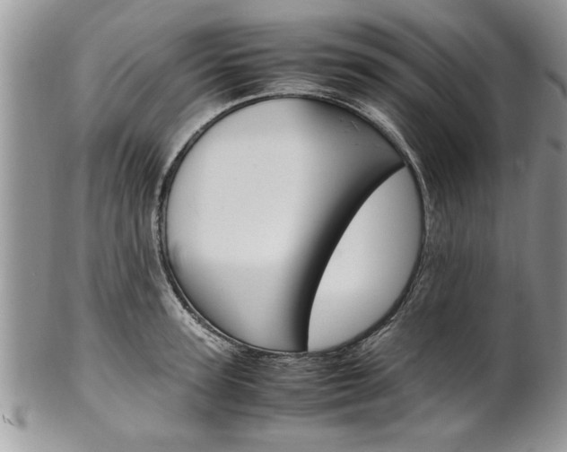 X0000102260947200808011401