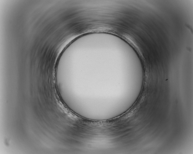 X0000102260948200808011401