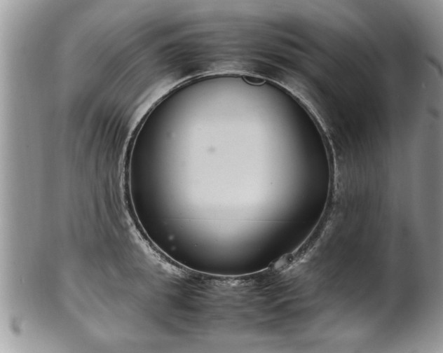 X0000102260949200808011401