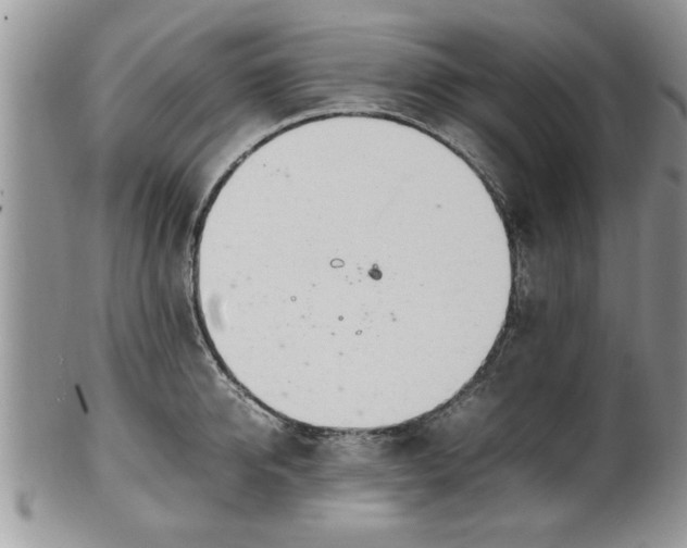 X0000102260950200808011401