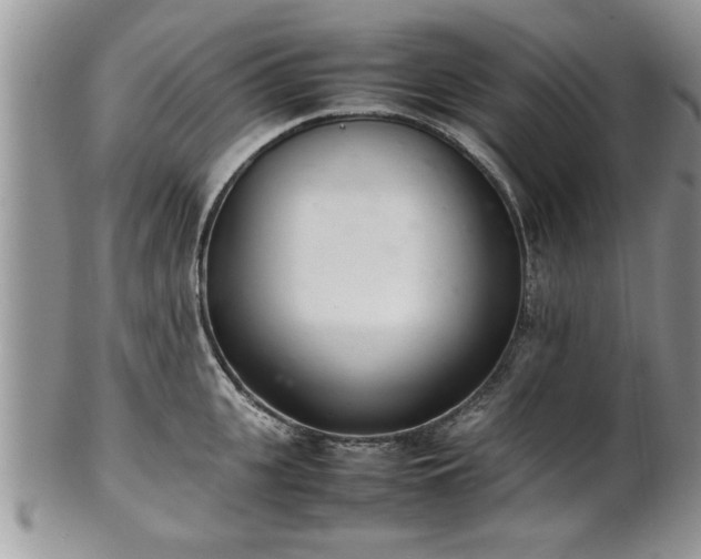 X0000102260951200808011401