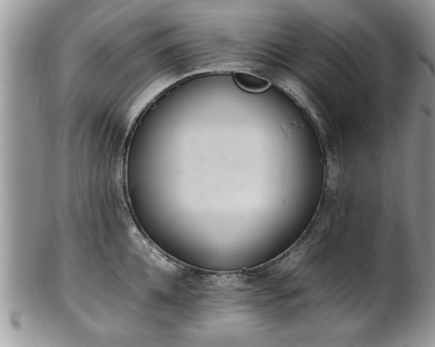 X0000102260952200808011401