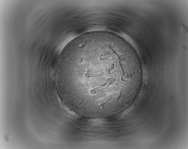 X0000102260953200808011401