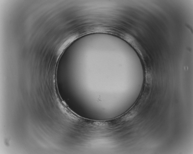 X0000102260954200808011401