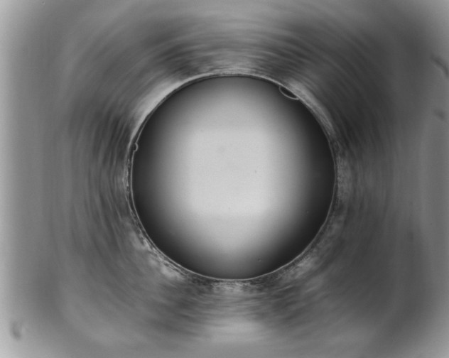 X0000102260956200808011401