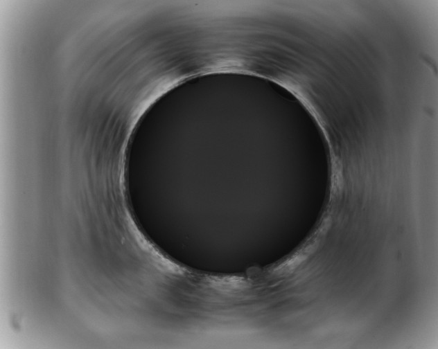 X0000102260957200808011401