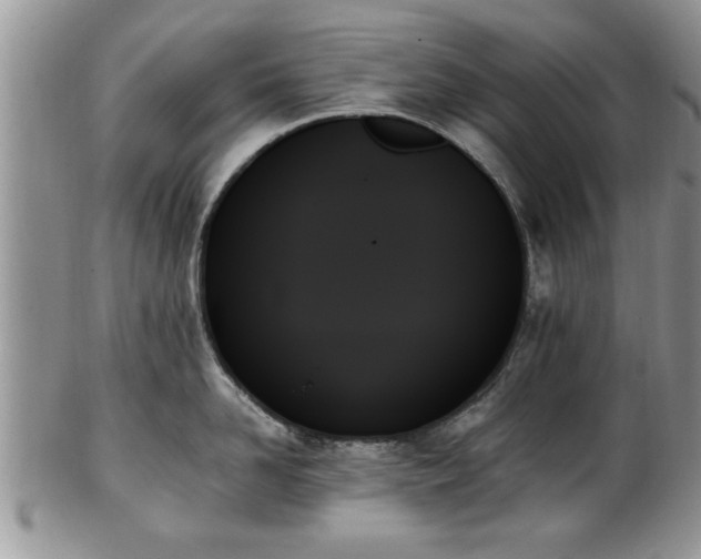 X0000102260958200808011401