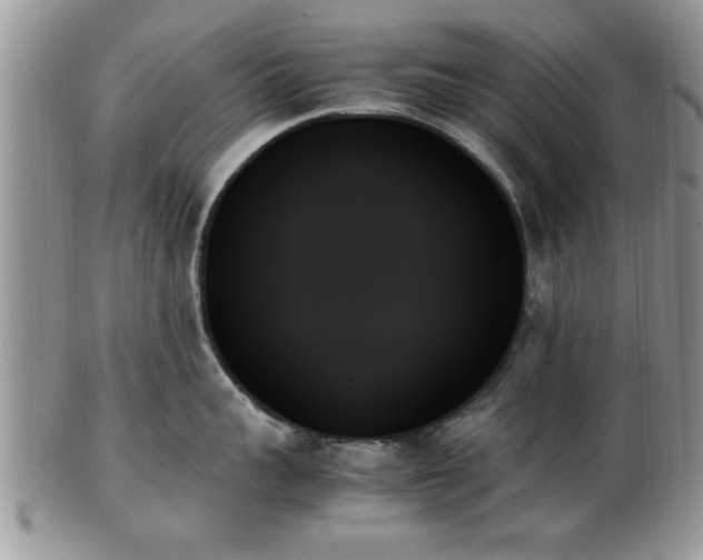 X0000102260959200808011401