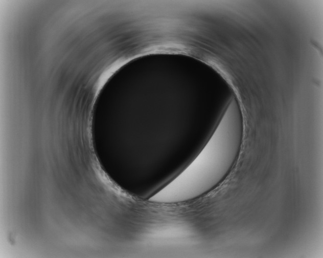 X0000102260960200808011401