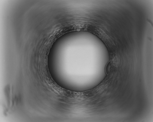 X0000102260961200808011401