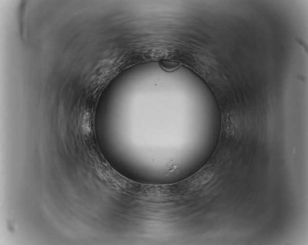 X0000102260962200808011401