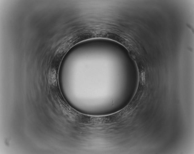 X0000102260963200808011401