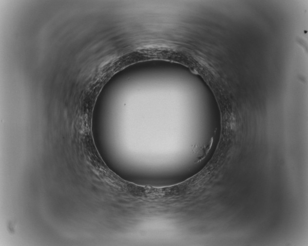 X0000102260965200808011401