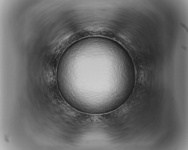 X0000102260966200808011401