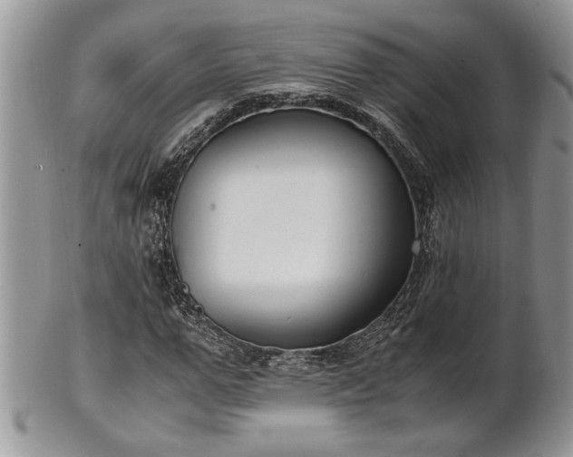 X0000102260967200808011401