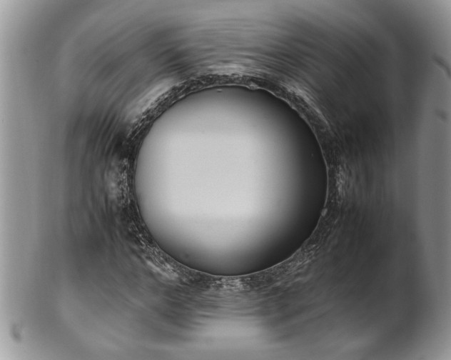 X0000102260968200808011401