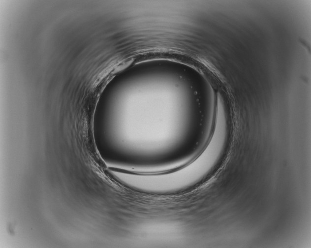 X0000102260969200808011401