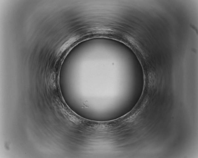 X0000102260970200808011401