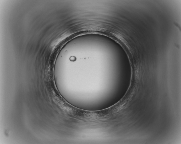 X0000102260971200808011401