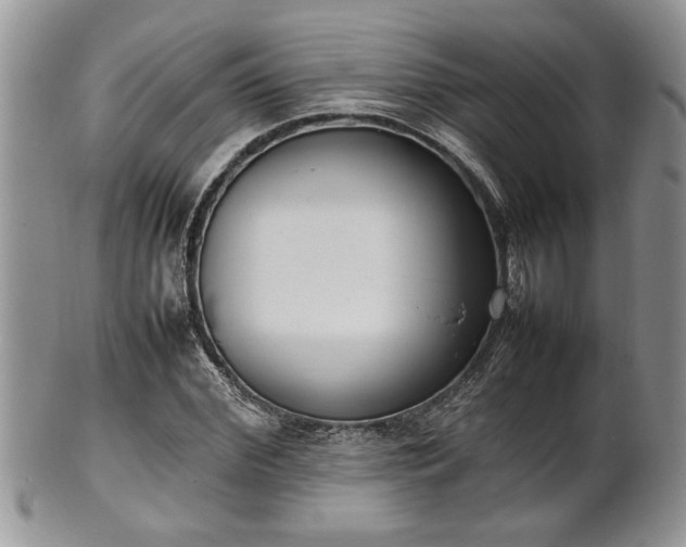 X0000102260972200808011401