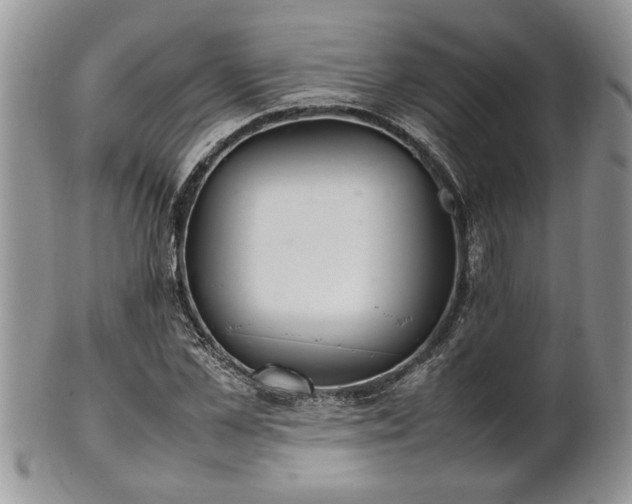 X0000102260973200808011401