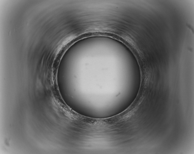 X0000102260974200808011401