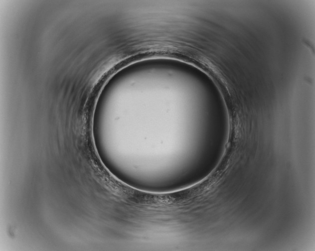 X0000102260975200808011401