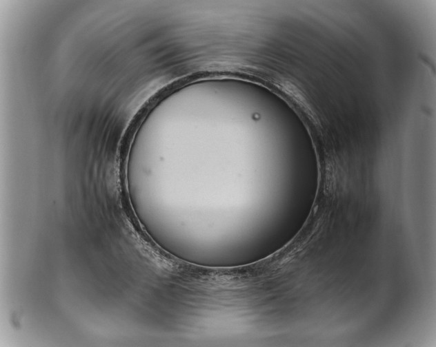 X0000102260976200808011400