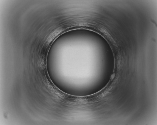 X0000102260977200808011400