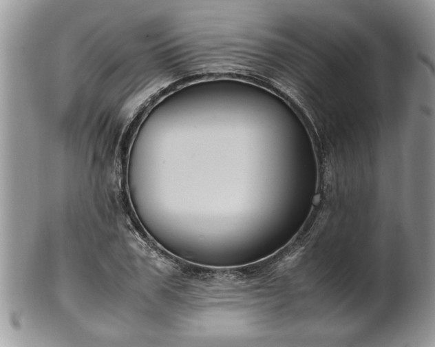 X0000102260979200808011400