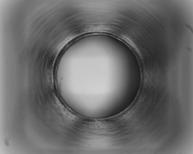 X0000102260980200808011400