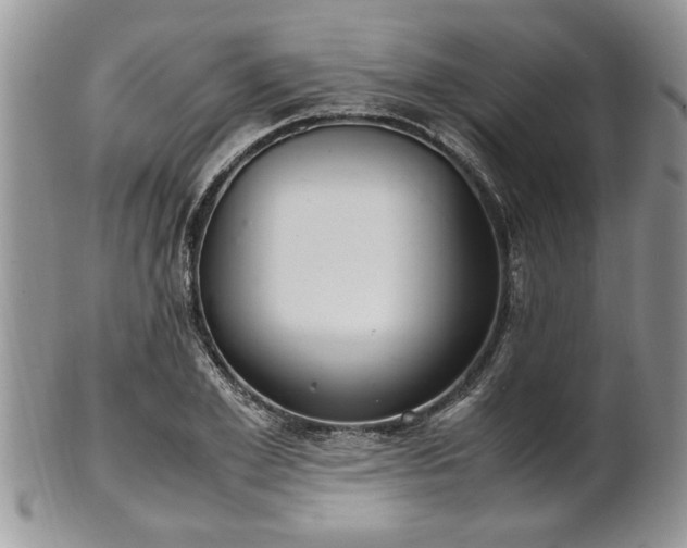 X0000102260981200808011400