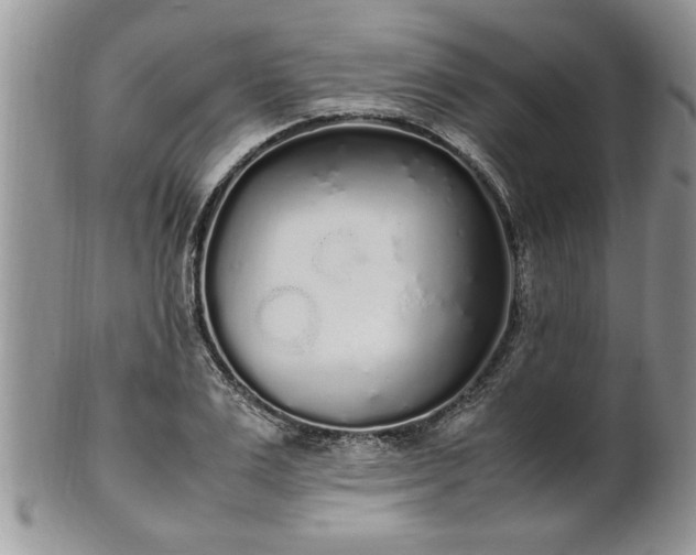 X0000102260983200808011400