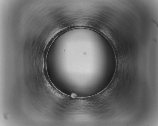 X0000102260984200808011400