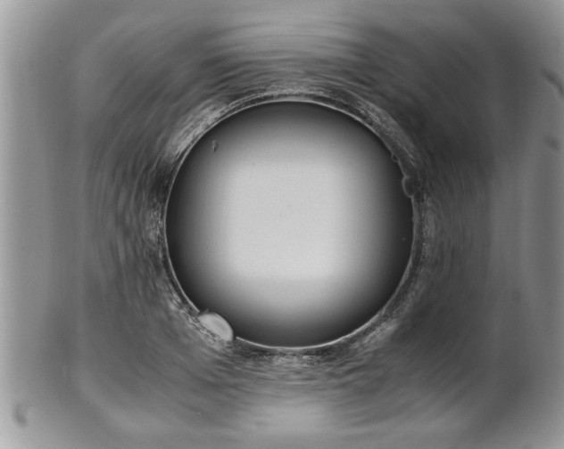 X0000102260985200808011400