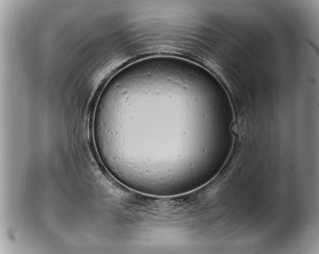 X0000102260987200808011400