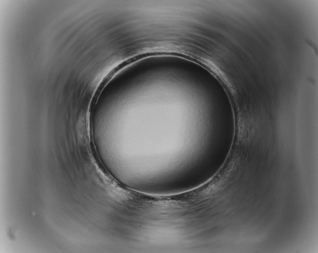 X0000102260988200808011400