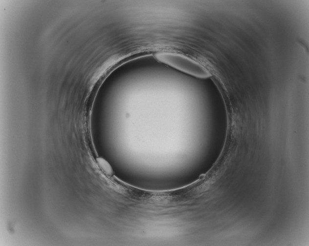 X0000102260989200808011400