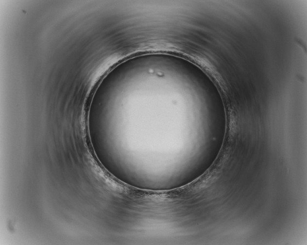 X0000102260990200808011400