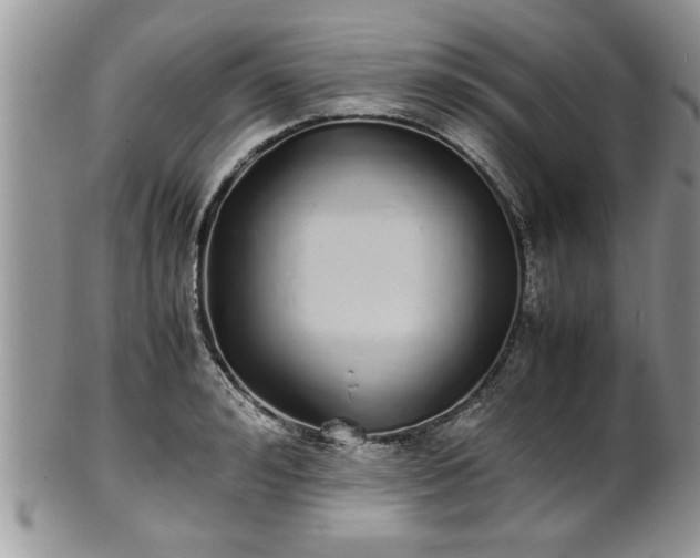 X0000102260992200808011400