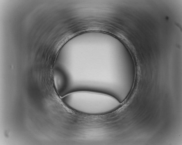 X0000102260993200808011400