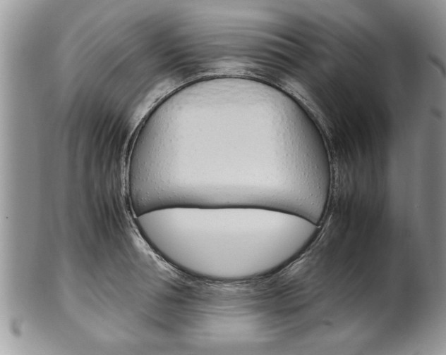 X0000102260994200808011400