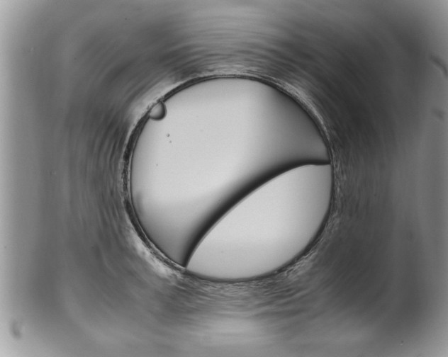 X0000102260995200808011400