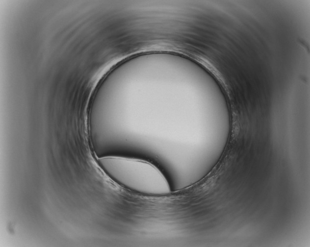 X0000102260996200808011400