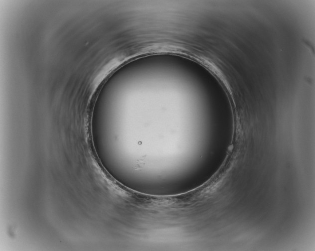 X0000102260997200808011400