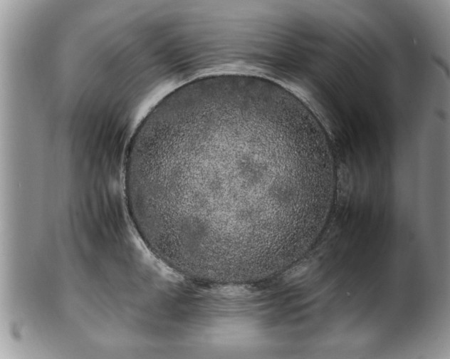 X0000102260998200808011400