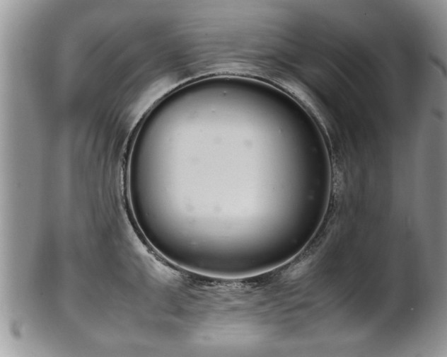 X0000102260999200808011400