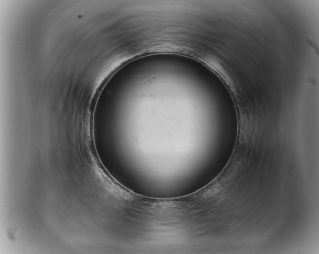 X0000102261000200808011400